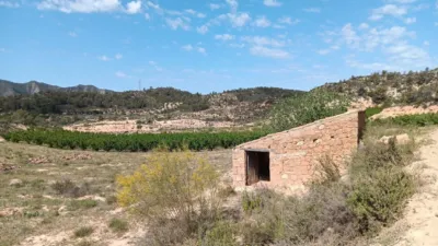 Rustic farm on Calle Partida Vall de Amet, No. Sn photo 6